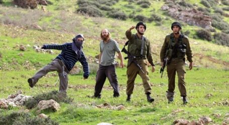 Israeli Forces and Settler Carry Out 492 Attacks in West Bank