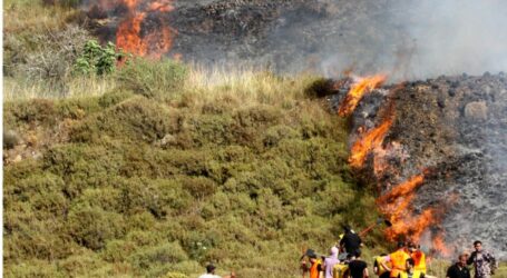 Israeli Settlers Set Fire to Palestinian Agricultural Land in Nablus