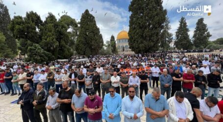 More than 50.000 Worshipers Perform Friday Prayer at Aqsa Mosque