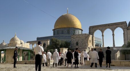 Israeli Settlers Break into Aqsa Mosque
