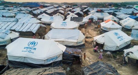 UNHCR: Rohingya Refugees in Bangladesh Need Immediate Assistance