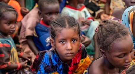 Nearly 1 Million Children in Mali Face Malnutrition