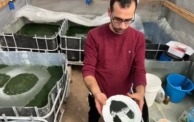 A Palestinian Agricultural Engineer Produces Spirulina Algae in Gaza
