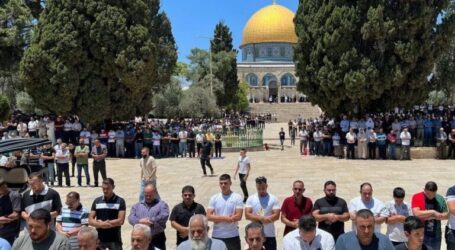 Tens of Thousand Muslimah Perform Friday Prayers at Al-Aqsa Mosque