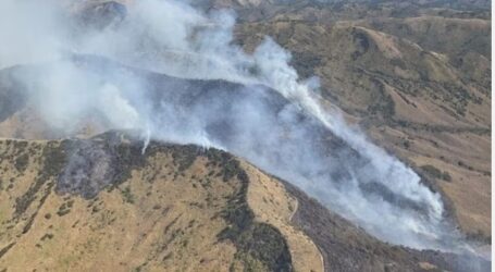 Fire in Bromo National Park Completely Extinguished