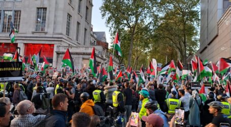 Demonstration in London in Support of Palestinians in Gaza