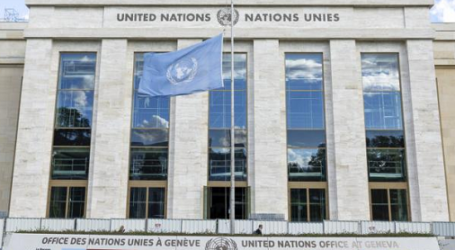 UN Lower Flags at Half Mast to Honor 101 Colleagues Who Died in Gaza