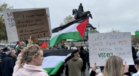 ‘Freedom for Palestine’ Rally Held in Cologne, Germany
