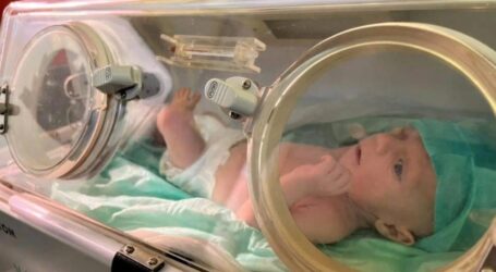 Israel Left Premature Palestinian Babies to ‘Die Alone’ after Evacuating Gaza Hospital
