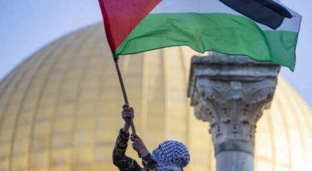 Ahead of the International Day of Solidarity with Palestine, the “Digital Storm” Campaign Launched
