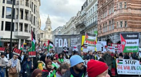 Another Huge Pro-Palestine Rally Takes Place in London