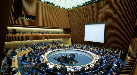 WHO Adopts Resolution to End the War in Gaza