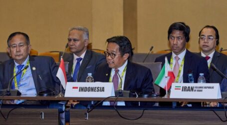 Indonesia Urges Members of the NAM to Support Full Membership of Palestine in the UN