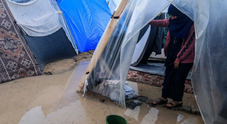 Heavy Rains Exacerbate the Suffering of Displaced Palestinians in Camps