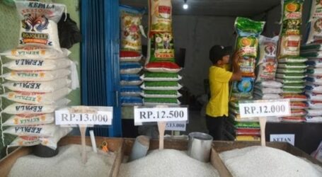 Indonesia Plans to Import Two Million Tons of Rice from Thailand 