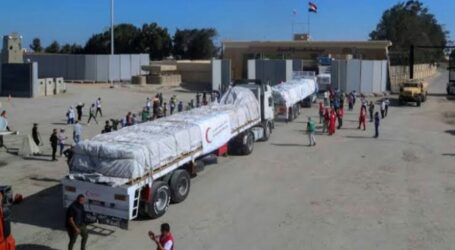 The Highest Daily, More than 300 Aid Trucks Enter Gaza