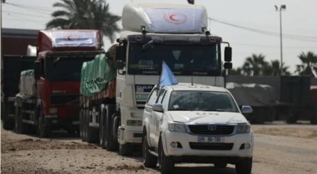 Aid Trucks Containing Fuel, Medicines Arrive at Hospitals in Northern Gaza Strip