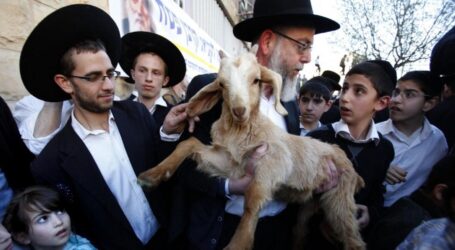 Israeli Colonists Attempt Slaughtering Animals Inside Jerusalem’s Aqsa Mosque