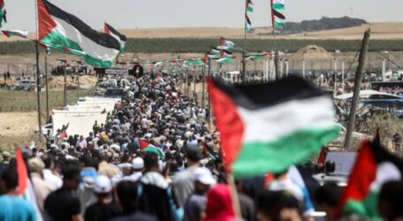 Students at University in West Bank Hold Solidarity Demonstration with Gaza