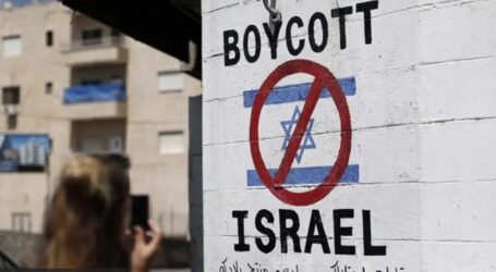 46,000 Israeli Companies Closed Since Last October 7