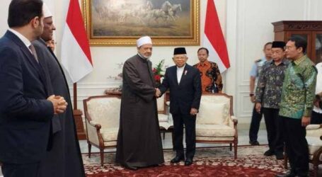 Vice President, Grand Sheikh Al-Azhar Discuss Issue of Combating Islamophobia