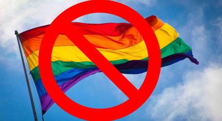 Georgian Parliament Passes LGBTQ Ban 