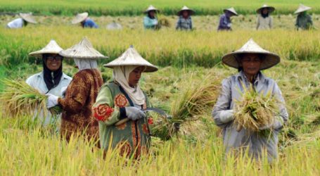 Ministry of Agriculture Targets Indonesia to Become World Food Barn in 2029