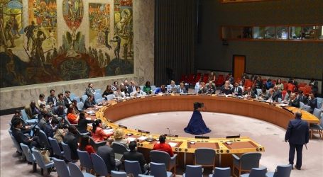 UNSC’s Elected Members Condemn ‘Current Cycle of Violence’ in Middle East