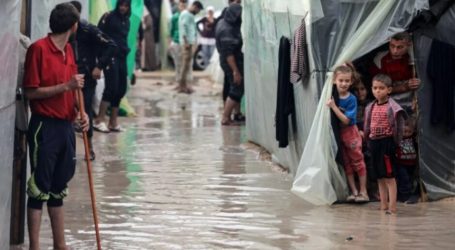 Over 1,500 Tents of Refugee Camp amid Heavy Rain in Gaza