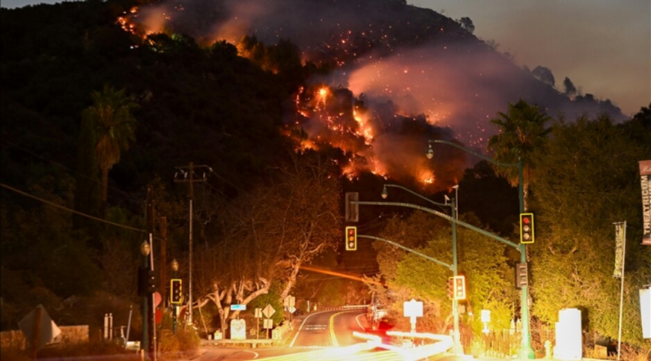 Los Angeles Wildfires (photo: Anadolu Agency)