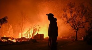 Wildfires (photo: Anadolu Agency)