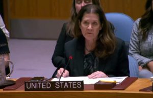 Interim US Representative to the UN, Dorothy Shea (photo: Video Grab)