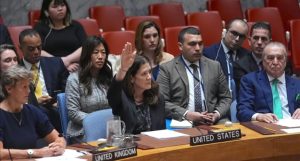 Interim US Representative to the UN, Dorothy Shea (photo: Anadolu Agency)