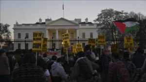 Protest in Washington DC (photo: Anadolu Agency)