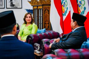 Peruvian President Dina Boluarte (photo: BPMI Setpres)