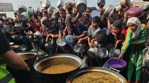 Food and meal for Palestinians in Gaza (photo: PIC)